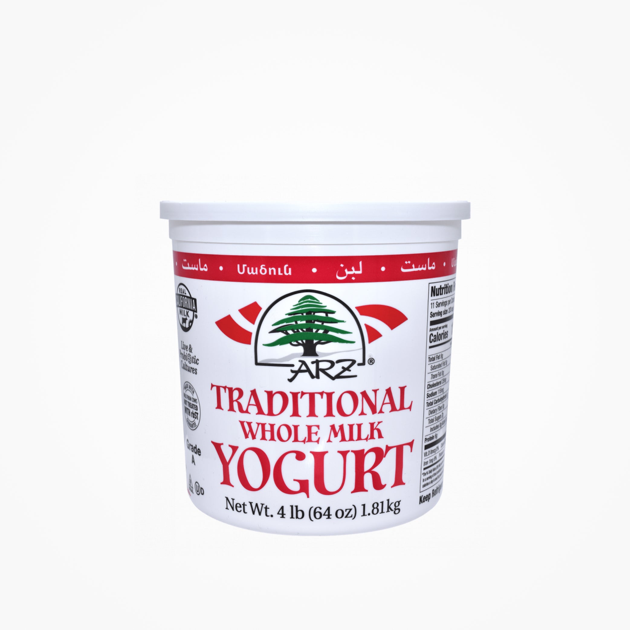TRADITIONAL WHOLE MILK YOGURT 4LB – MintMasala
