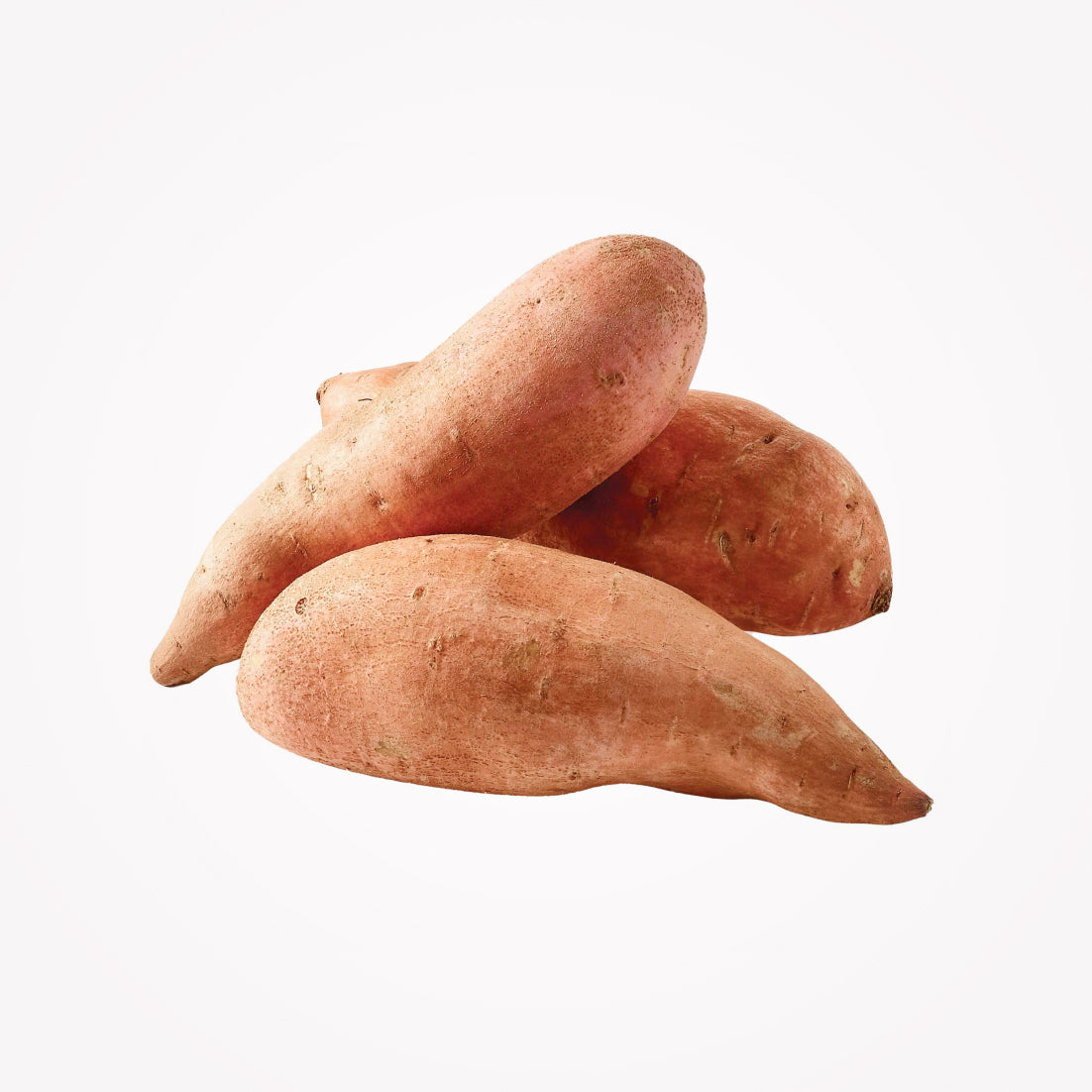 SWEET POTATO 1LB( INDIAN ) - (Store pickup only) – MintMasala